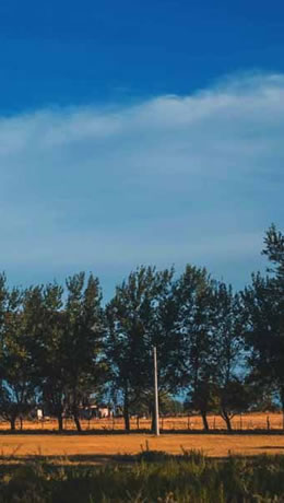 Gerbaudo Servicios Inmobiliarios